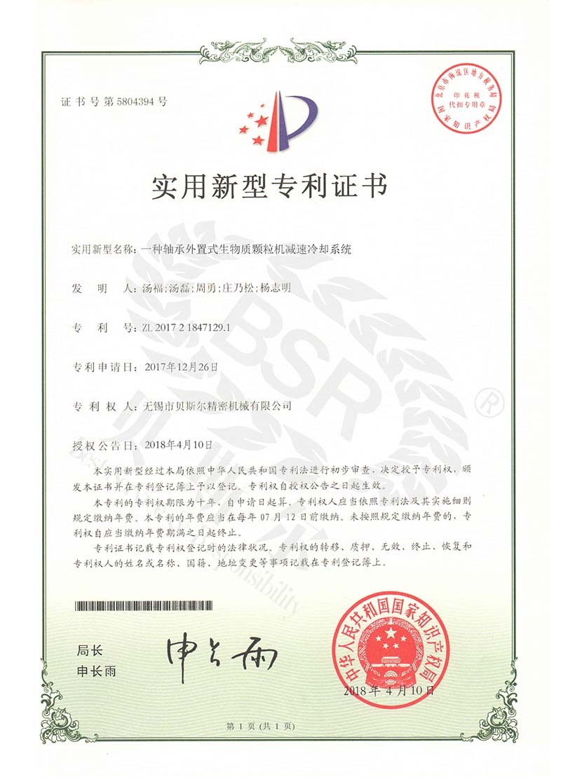 轴承外置式生物质小蝌蚪网站视频减速冷却系统